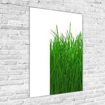 Staand plexiglas foto Gras