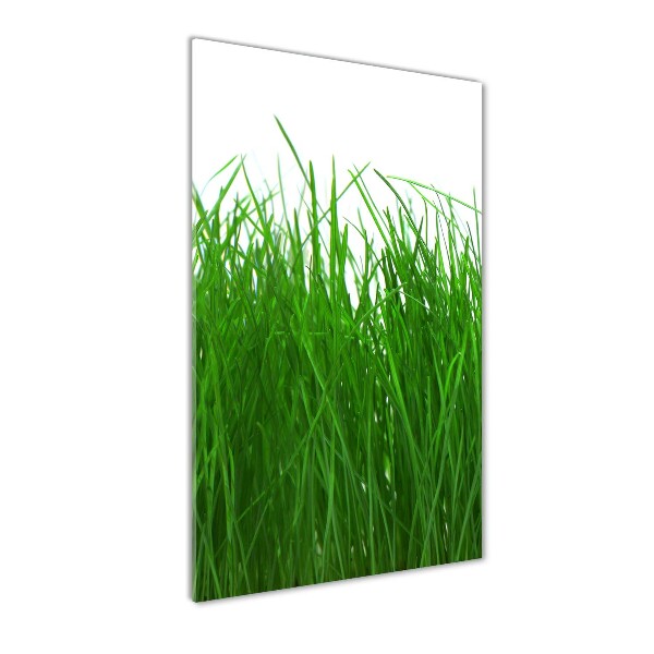 Staand plexiglas foto Gras
