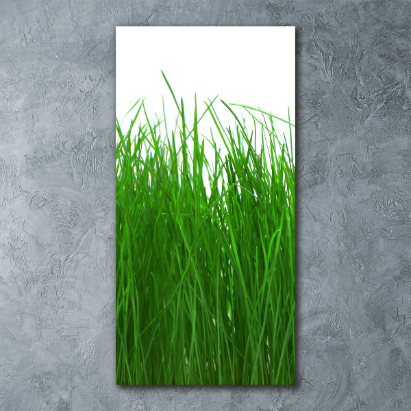 Staand plexiglas foto Gras