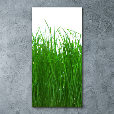 Staand plexiglas foto Gras