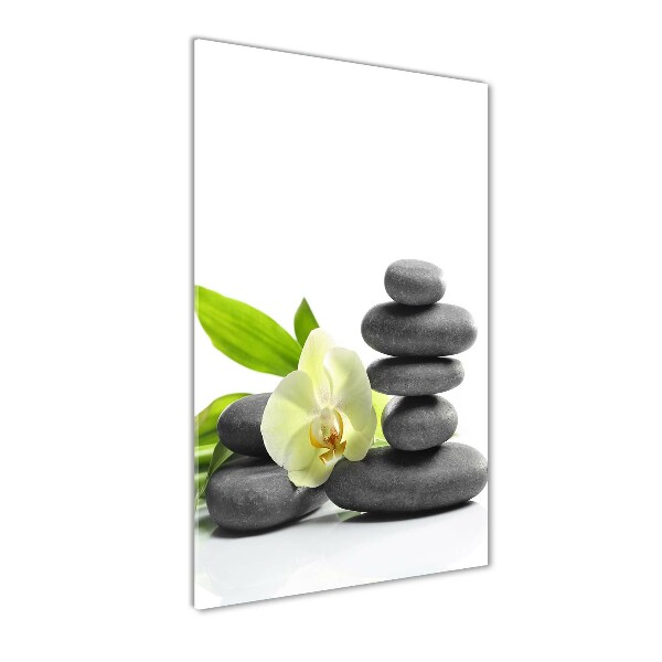 Staand foto plexiglas Orchidee en stenen