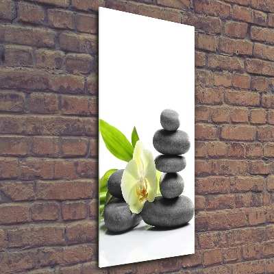 Staand foto plexiglas Orchidee en stenen