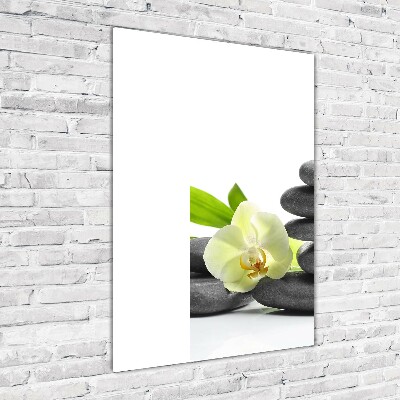 Staand foto plexiglas Orchidee en stenen