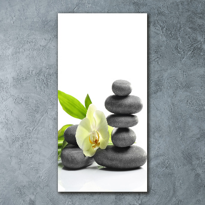 Staand foto plexiglas Orchidee en stenen