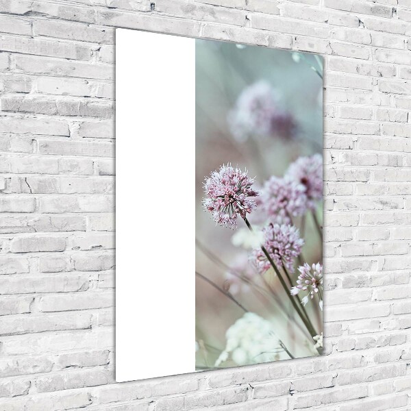 Staand foto in plexiglas Knoflookbloemen