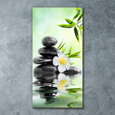 Staand foto op plexiglas Bamboe