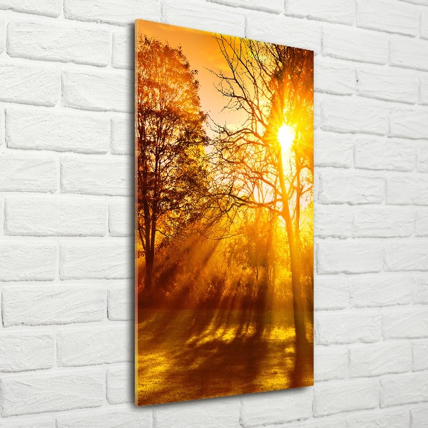 Staand plexiglas foto Park in de herfst