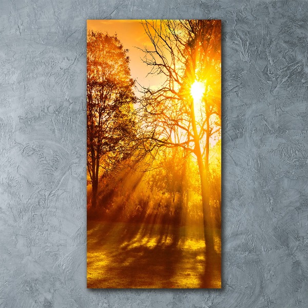 Staand plexiglas foto Park in de herfst