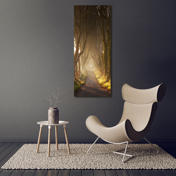 Staand foto plexiglas Pad in het bos