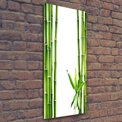 Staand foto plexiglas Bamboe
