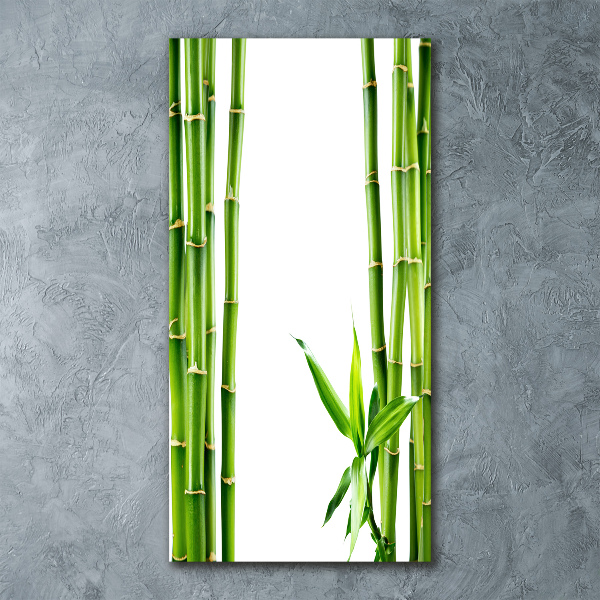 Staand foto plexiglas Bamboe