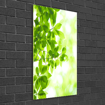 Staand foto op plexiglas Groene bladeren