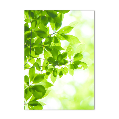Staand foto op plexiglas Groene bladeren