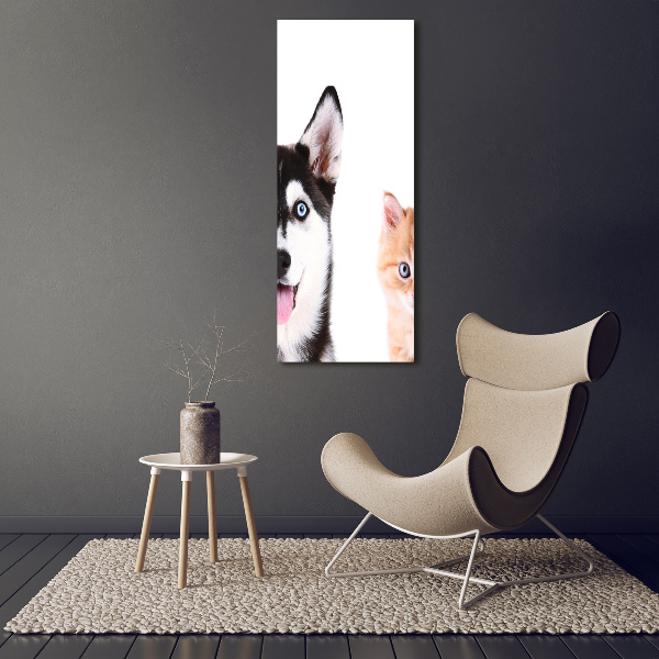 Staand foto plexiglas Hond en kat
