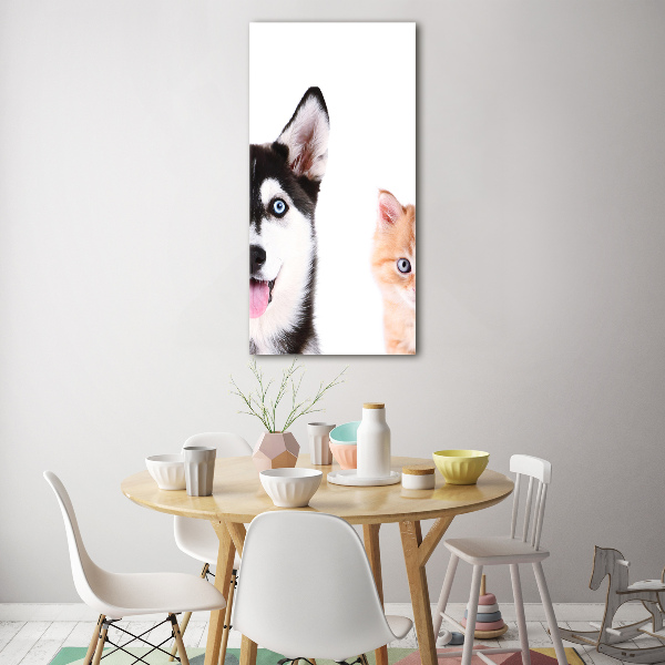 Staand foto plexiglas Hond en kat