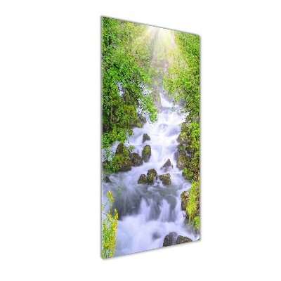 Staand foto in plexiglas Bergstroom