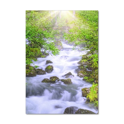 Staand foto in plexiglas Bergstroom