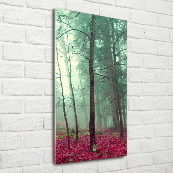 Staand foto op plexiglas Bos in de herfst