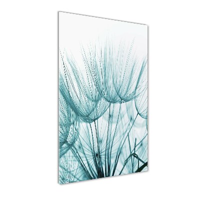 Staand plexiglas foto Paardenbloemzaden