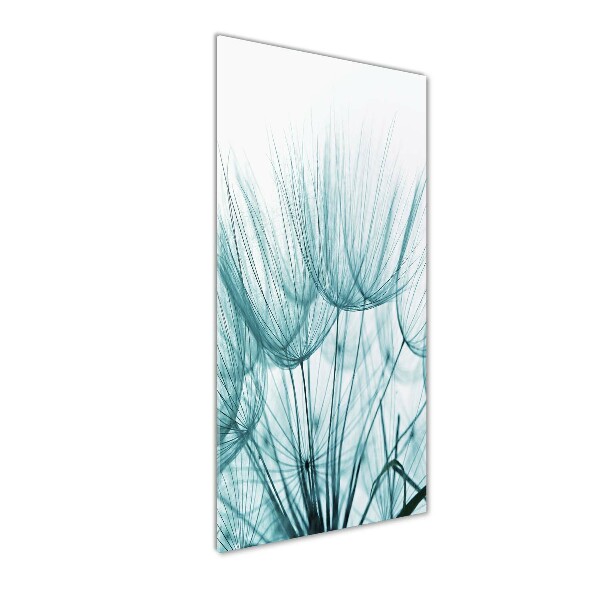 Staand plexiglas foto Paardenbloemzaden