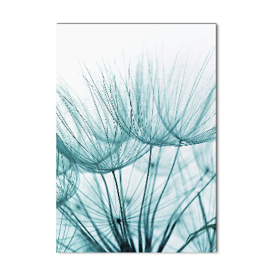 Staand plexiglas foto Paardenbloemzaden