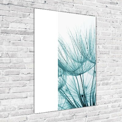 Staand plexiglas foto Paardenbloemzaden