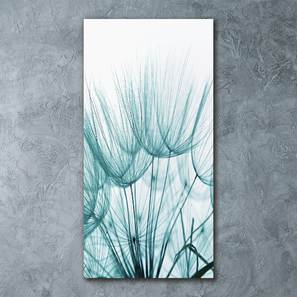 Staand plexiglas foto Paardenbloemzaden