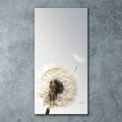 Staand foto plexiglas Paardebloem