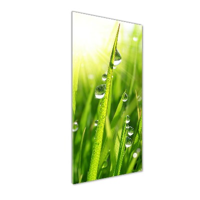 Staand foto in plexiglas grassprieten