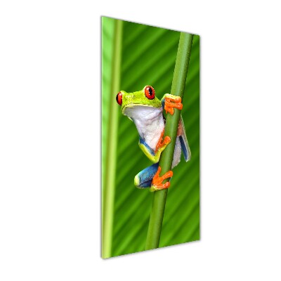 Staand plexiglas foto Europese boomkikker