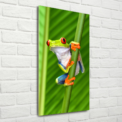 Staand plexiglas foto Europese boomkikker