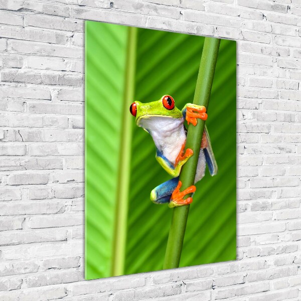 Staand plexiglas foto Europese boomkikker