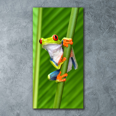 Staand plexiglas foto Europese boomkikker