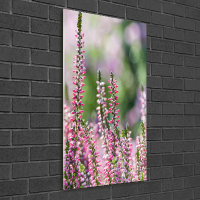 Staand foto op plexiglas Heide