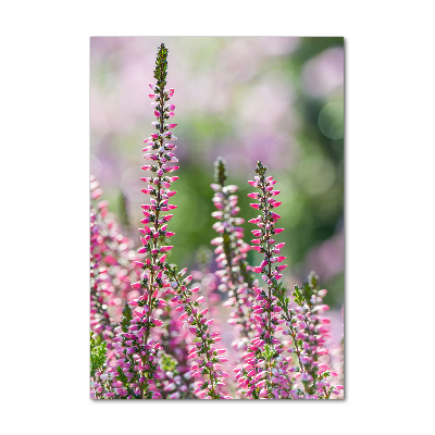 Staand foto op plexiglas Heide