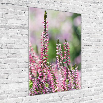 Staand foto op plexiglas Heide