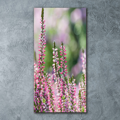 Staand foto op plexiglas Heide