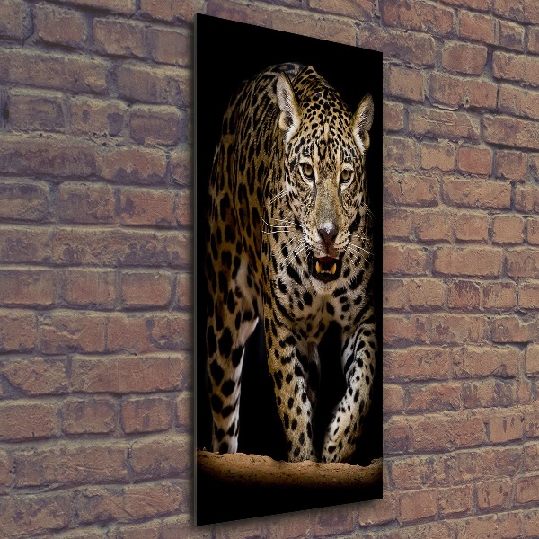 Staand foto plexiglas Jaguar
