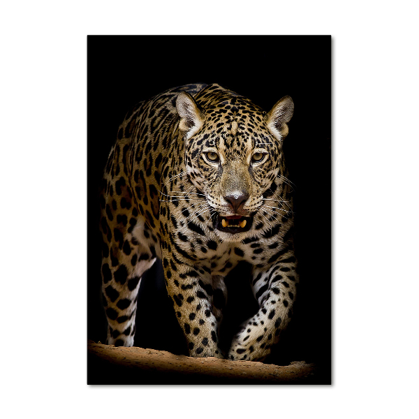 Staand foto plexiglas Jaguar