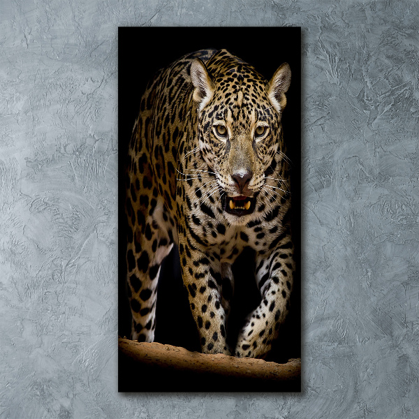 Staand foto plexiglas Jaguar
