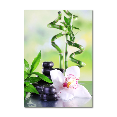 Staand foto plexiglas Bamboe