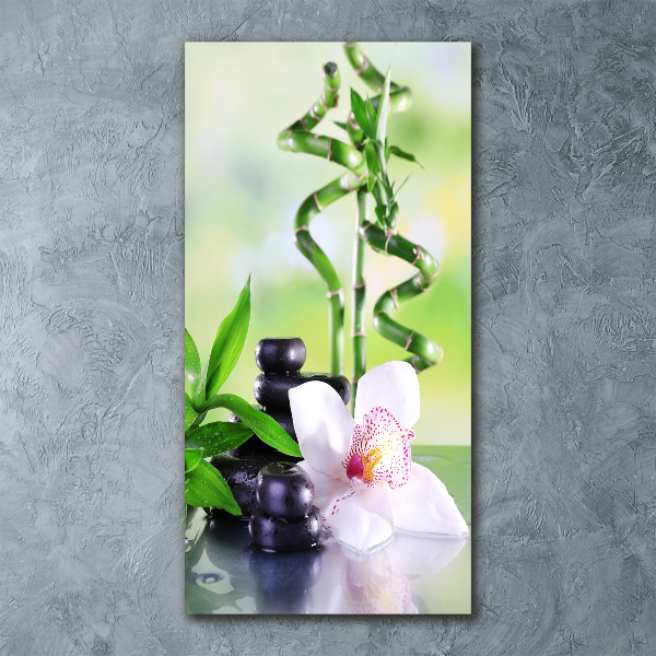 Staand foto plexiglas Bamboe