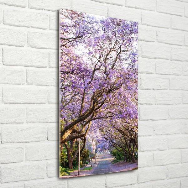 Staand foto plexiglas Jacarandapad