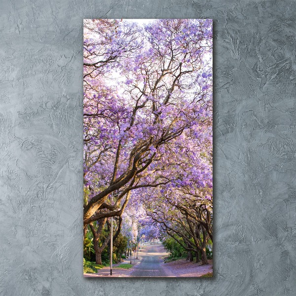 Staand foto plexiglas Jacarandapad