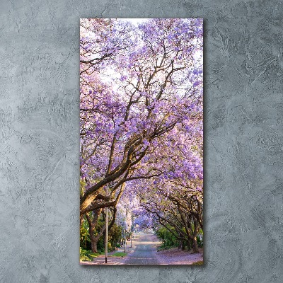 Staand foto plexiglas Jacarandapad