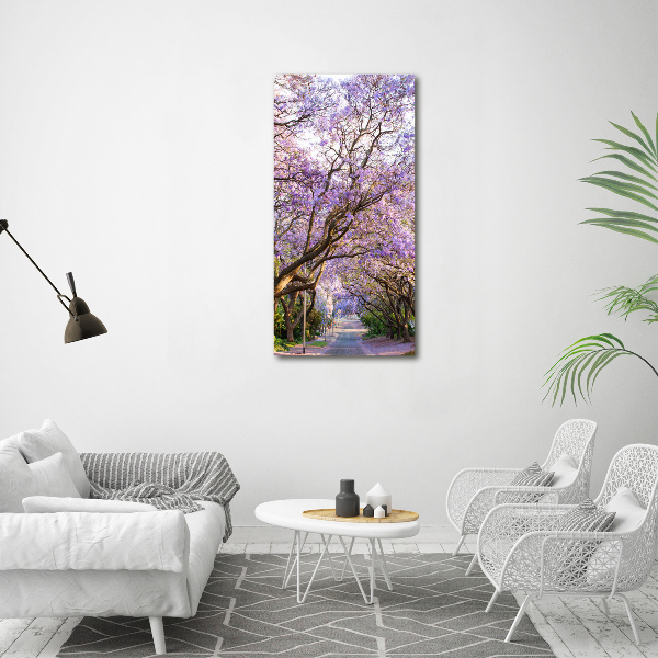 Staand foto plexiglas Jacarandapad