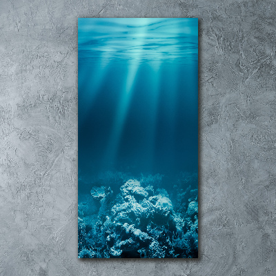 Staand foto in plexiglas Onderwaterwereld