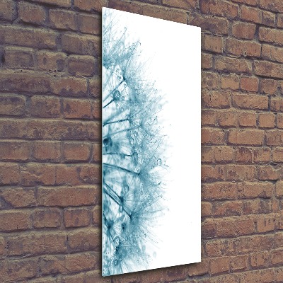 Staand foto op plexiglas Paardenbloemzaden