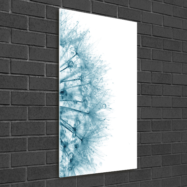 Staand foto op plexiglas Paardenbloemzaden