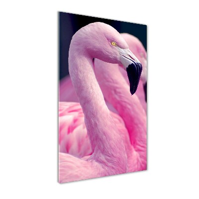 Staand foto plexiglas Flamingo's
